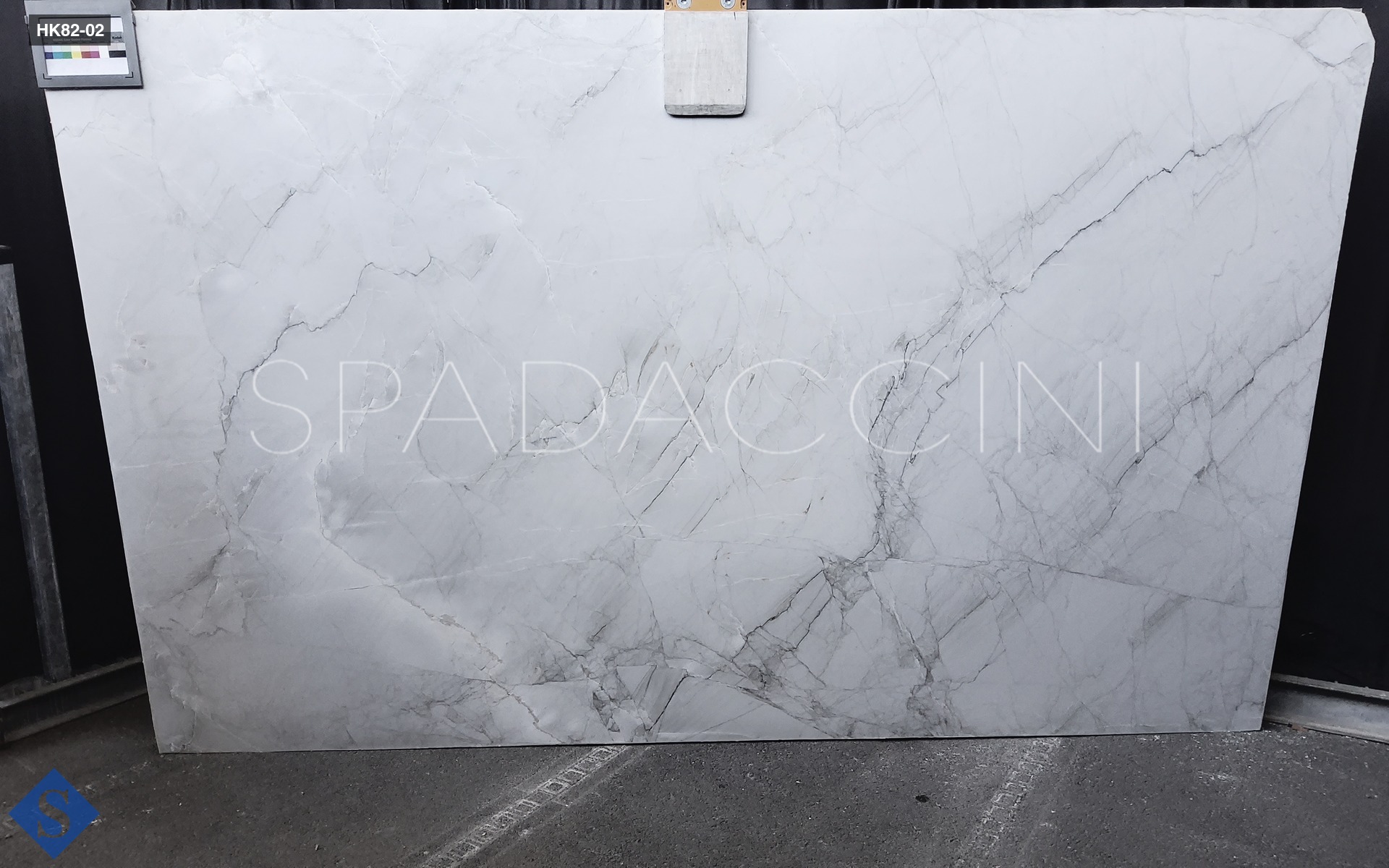 APOLLO WHITE